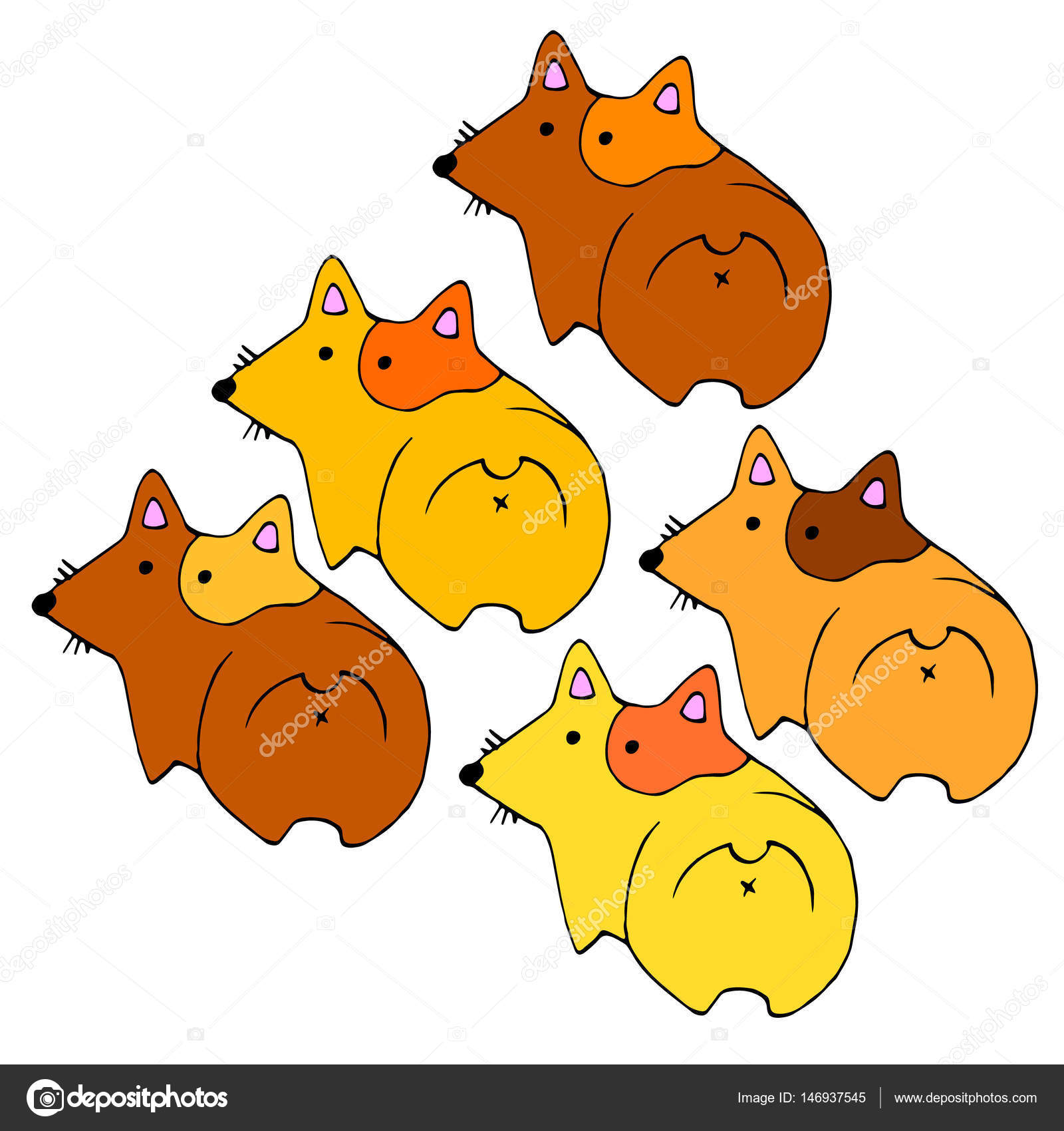 ウェールズ犬動物イラスト ペット耳のベクトル — ストックベクター