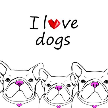köpek, vektör, doğurmak, şirin, Evcil Hayvan, hayvan, bulldog, Fransız