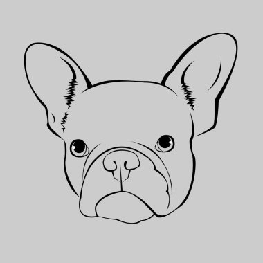 köpek vektör doğurmak şirin evde beslenen hayvan hayvan bulldog Fransız