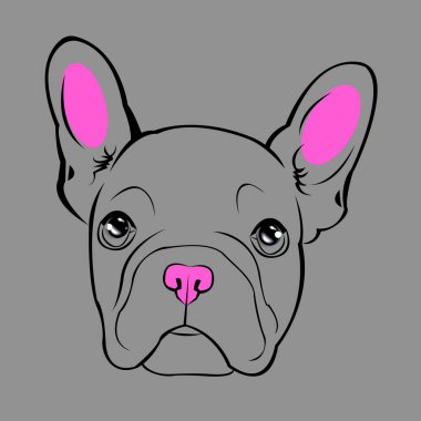 köpek vektör doğurmak şirin evde beslenen hayvan hayvan bulldog Fransız