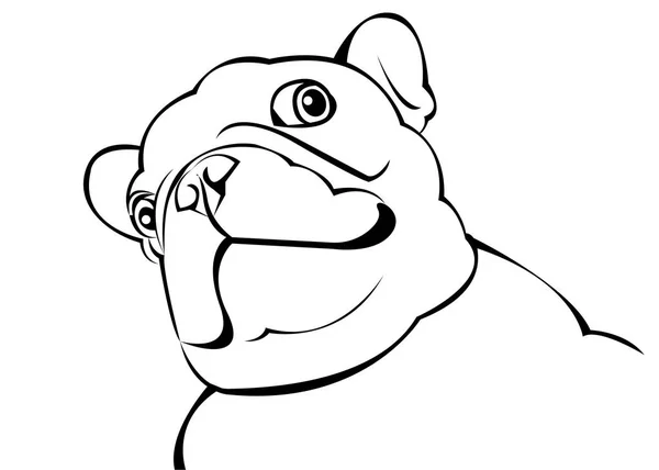 Perro, vector, raza, tierna, mascota, animal, bulldog, francesas — Vector de stock