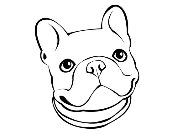 Perro, vector, raza, tierna, mascota, animal, bulldog, francesas — Vector de stock