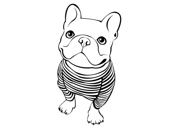 Perro, vector, raza, tierna, mascota, animal, bulldog, francesas — Vector de stock