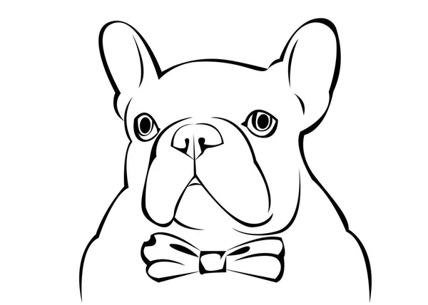 Cão, vetor, raça, fofa, animal de estimação, bulldog, francêsas — Vetor de Stock