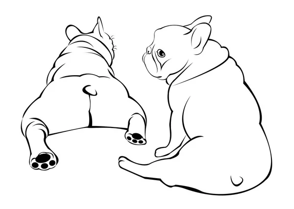 Vector, ras, hond, schattig, huisdier, dier, bulldog, Franse — Stockvector