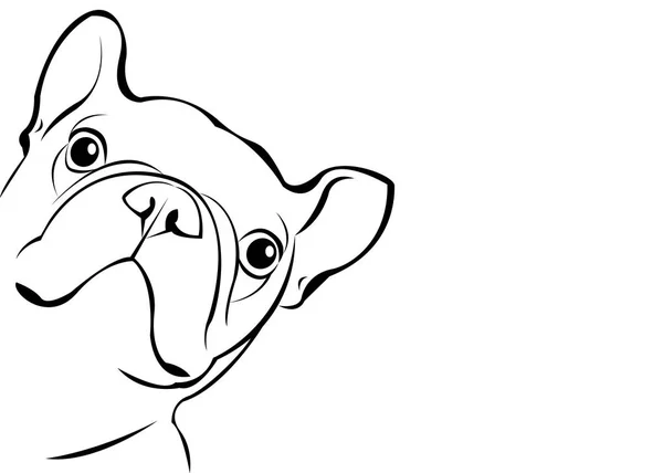 köpek, vektör, doğurmak, şirin, Evcil Hayvan, hayvan, bulldog, Fransız