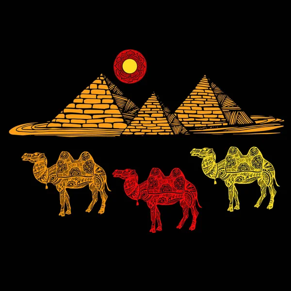 Imagen vectorial de un camello sobre un fondo de las pirámides — Vector de stock