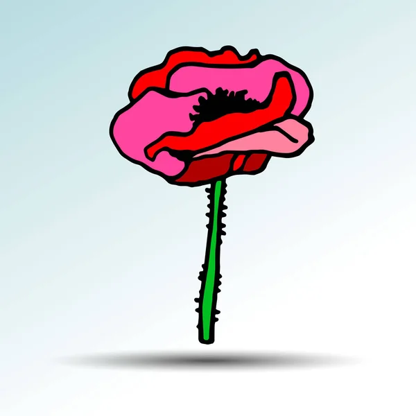 Παπαρούνας φύση λουλουδιών διάνυσμα φυτό μοτίβο σχέδιο Εικονογράφηση Σχεδιασμός — Διανυσματικό Αρχείο