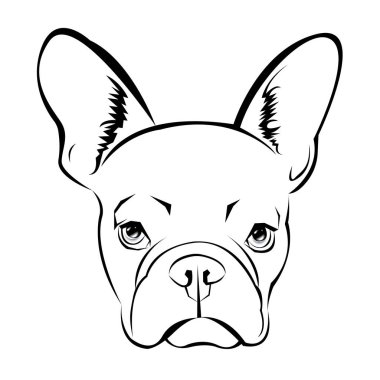 köpek vektör doğurmak şirin evde beslenen hayvan hayvan bulldog Fransız