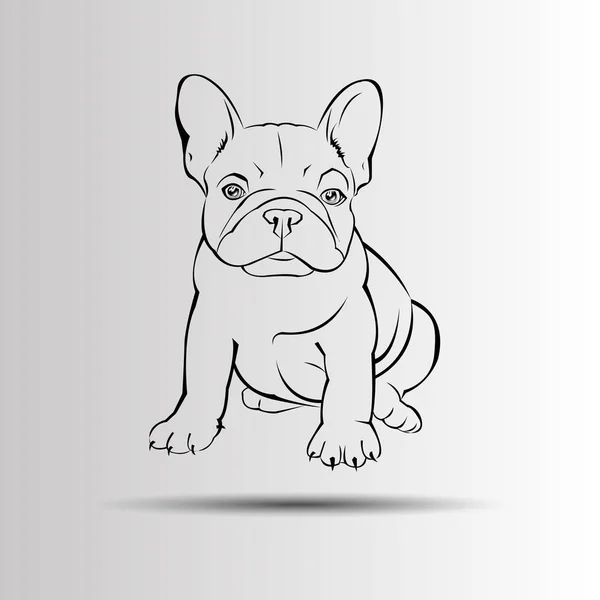 Köpek vektör doğurmak şirin evde beslenen hayvan hayvan bulldog Fransız — Stok Vektör