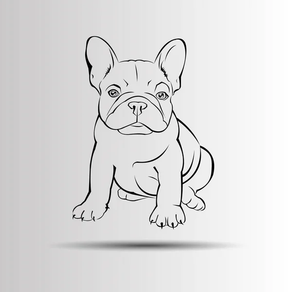 Perro vector crianza lindo animal animal bulldog francés — Vector de stock