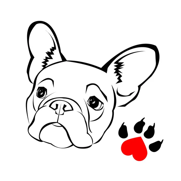 Dog vector breed cute pet animal bulldog french — Stock Vector