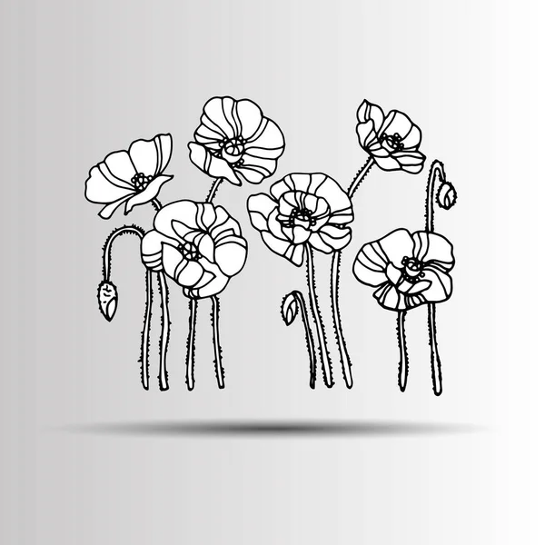 Natureza papoila flor vetor planta padrão desenho ilustração design — Vetor de Stock