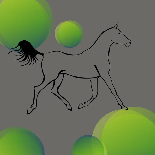 Crianza caballo fino vector silueta, vector caballo animal illust — Vector de stock