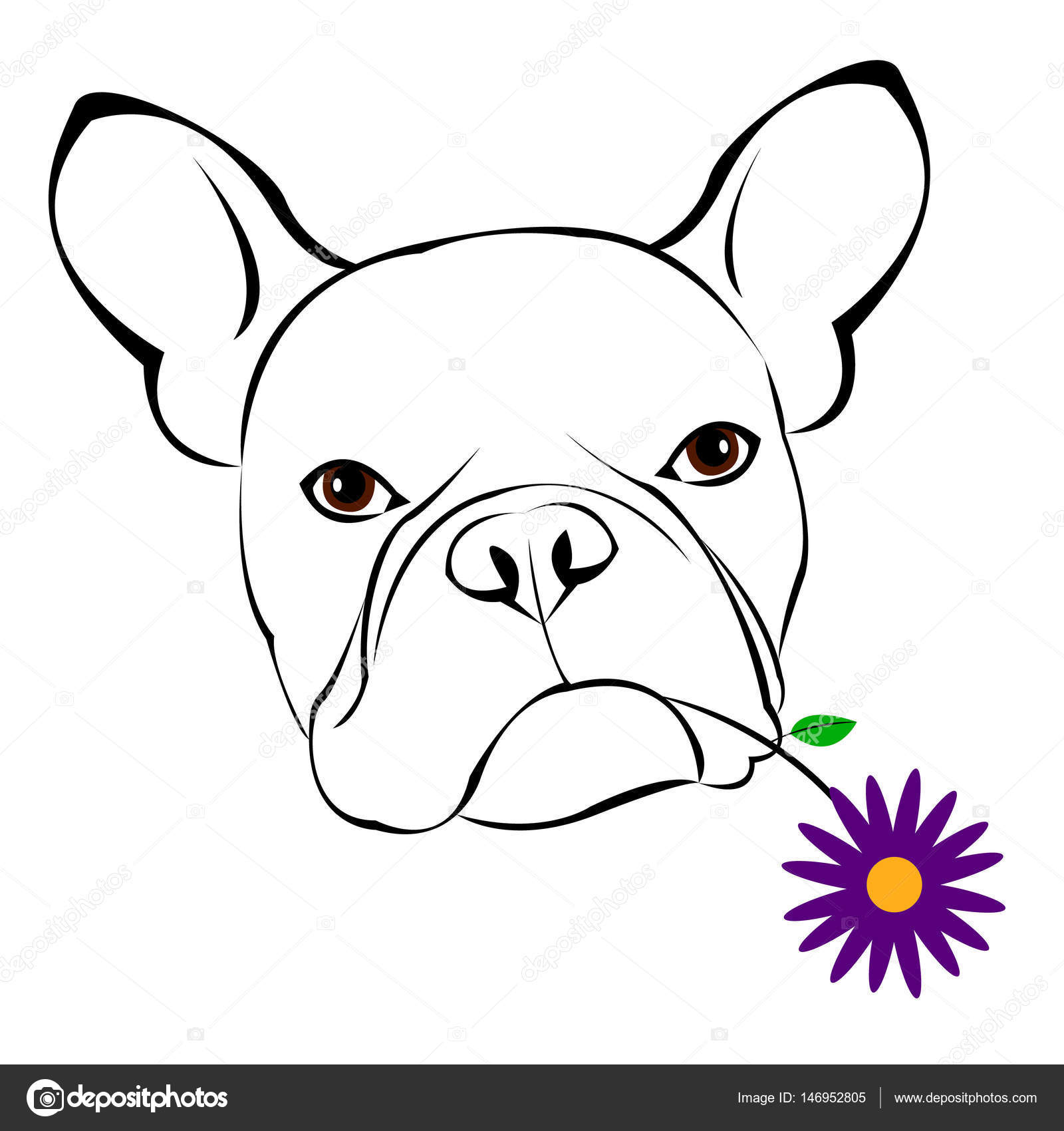Hund, Vektor, Rasse, niedlich, Haustier, Tier, Bulldogge, Französisch