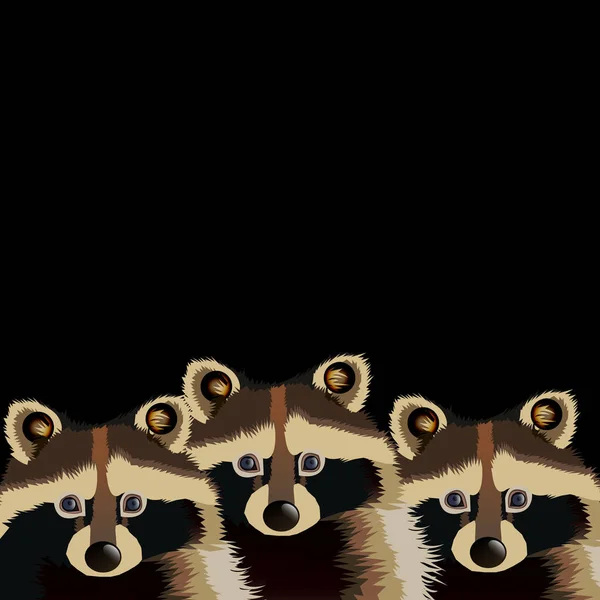 浣熊矢量可爱的野生野生动物哺乳动物 — 图库矢量图片