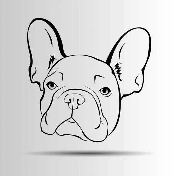 Dog vector breed cute pet animal bulldog french — Stock Vector