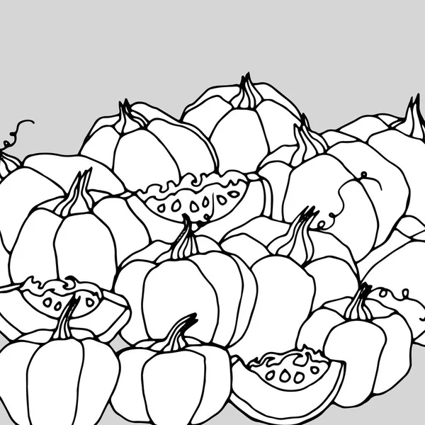 Pumpkin vector autumn illustration halloween vegetable food vegetarian orange — Stock Vector