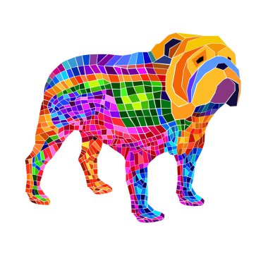 Bulldog İngiliz köpek doğurmak portre çizim yüz