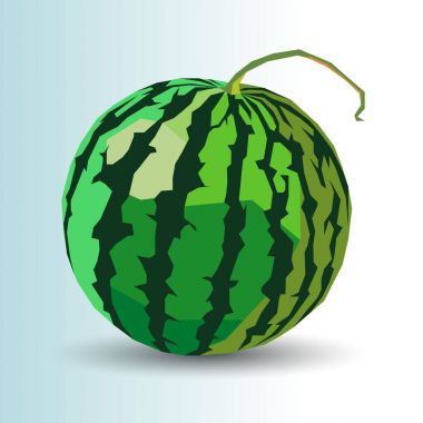 Gıda karpuz tatlı meyve olgun vektör taze dilim organik sulu yeşil