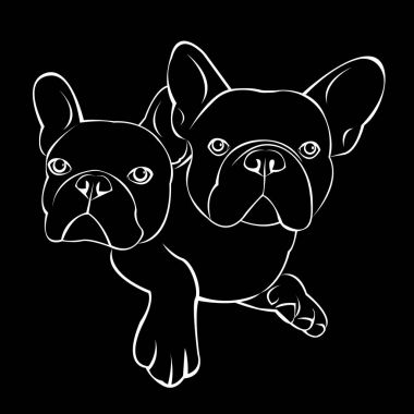 köpek vektör doğurmak şirin evde beslenen hayvan hayvan bulldog Fransız