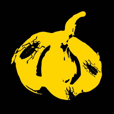 Kabak vektör sonbahar illüstrasyon Cadılar Bayramı sebze Gıda Vejetaryen turuncu