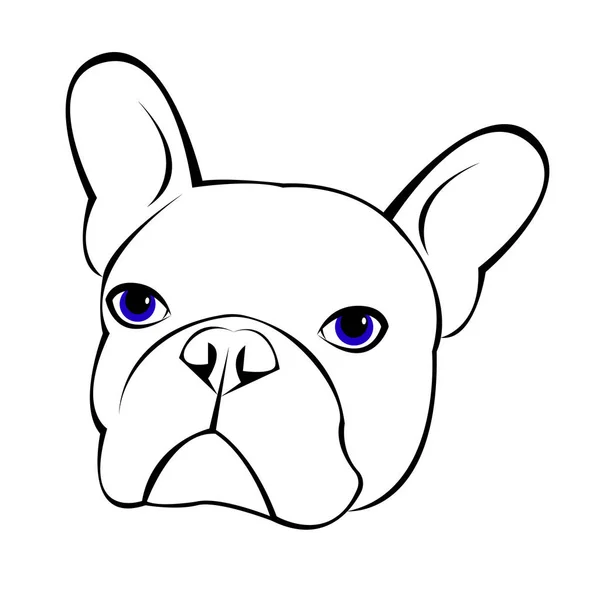 Chien vecteur race mignon animal animal bouledogue français — Image vectorielle