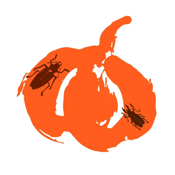 Herfst pompoen vector illustratie halloween plantaardige voedsel vegetarische oranje — Stockvector