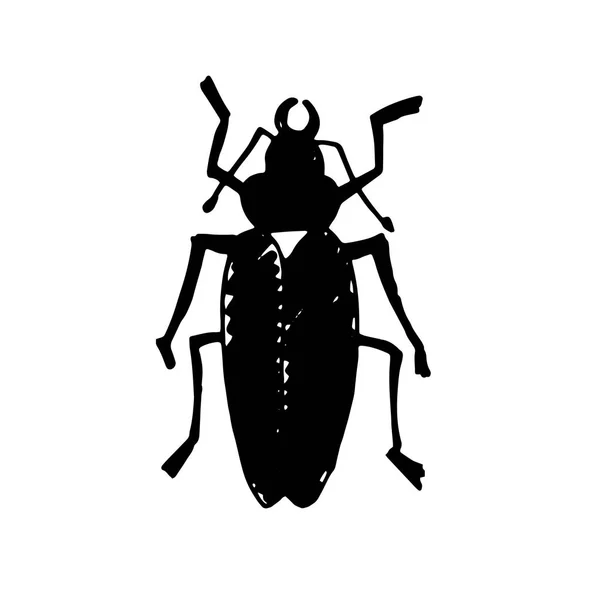 Insecte du scarabée. Coléoptère aquatique de la nature et zoologie coléoptère aquatique. Faune insecte eau scarabée noir écologie détail . — Image vectorielle