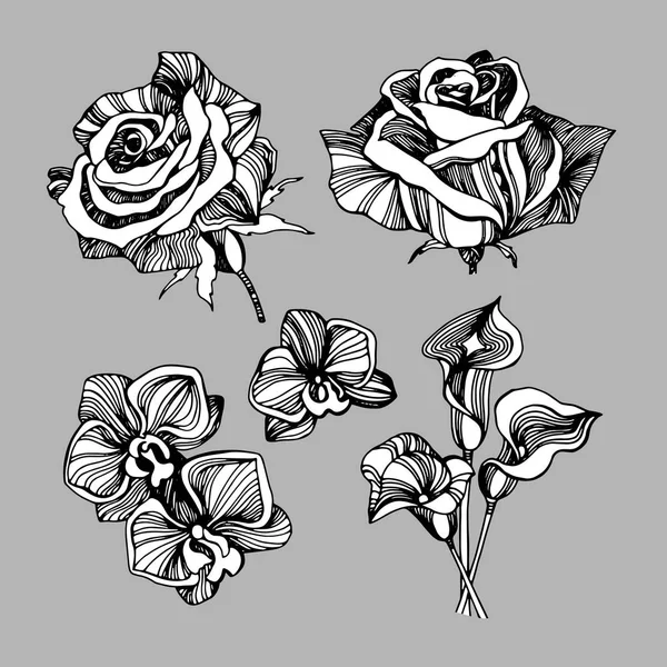 Color set, collection, drawings, sketches, beautiful flowers, di Stock Illustration