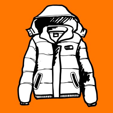 ceket, vektör, moda, giyim, kış, tasarım, spor, Giysi, şablon, illüstrasyon