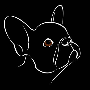 Bulldog, köpek, hayvan, Fransız, vektör, illüstrasyon, Evcil Hayvan, cins, şirin, çizim, köpek yavrusu