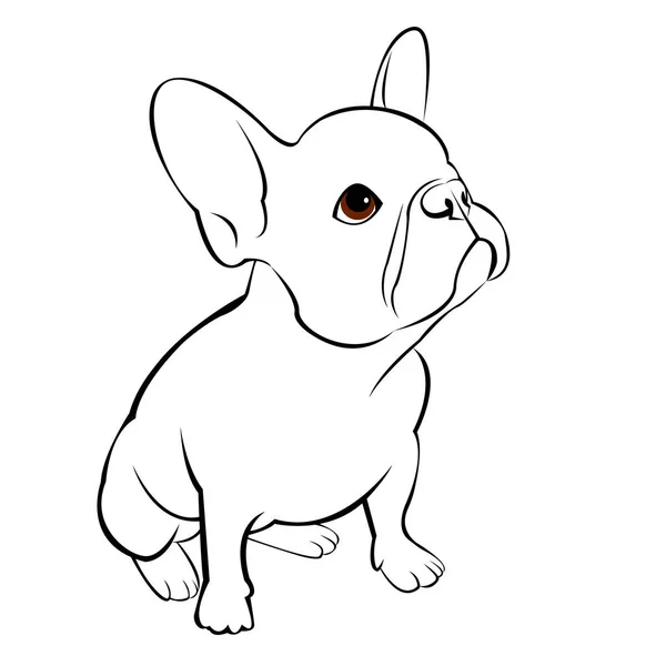 Bulldog, cão, animal, francêsas, vetor, illust, animal de estimação, raça, fofa, puxando, cachorro —  Vetores de Stock