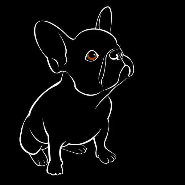 Bulldog, perro, animal, francesas, vector, ilustración, mascota, raza, tierna, dibujo, cachorro — Archivo Imágenes Vectoriales