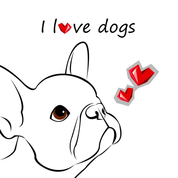 Bulldog, hund, djur, franska, vektor, illustration, pet, ras, — Stock vektor