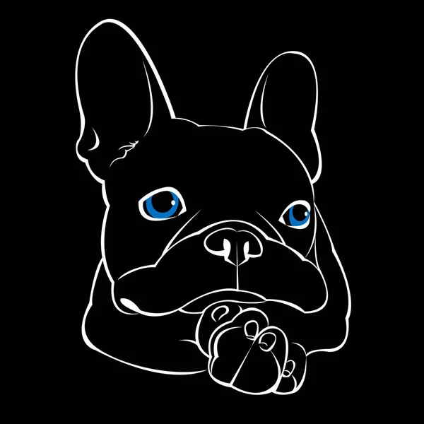 Bulldog, dog, animal, prancis, vector, illustration, pet, breed, cute, drawing, puppy - Stok Vektor