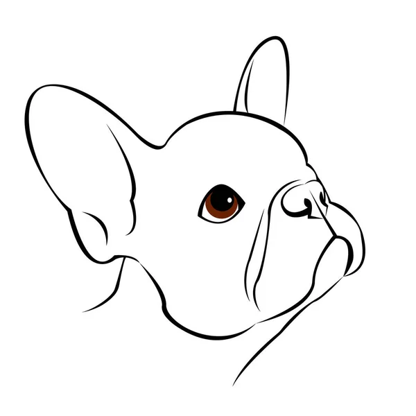 Bulldog, dog, animal, prancis, vector, illustration, pet, breed, cute, drawing, puppy - Stok Vektor