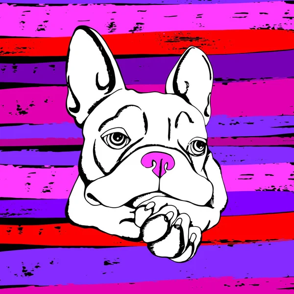 Buldok, pes, zvíře, francouzský, vektor, ilustrace, pet, plemeno, roztomilý, kresba, štěně — Stockový vektor