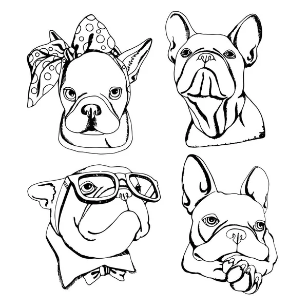 Bulldog, cão, animal, francêsas, vetor, illust, animal de estimação, raça, fofa, puxando, cachorro —  Vetores de Stock