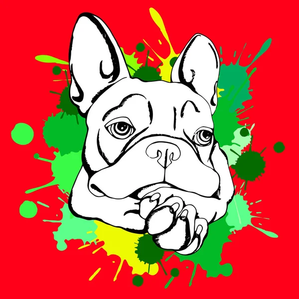 Bulldog, cão, animal, francêsas, vetor, illust, animal de estimação, raça, fofa, puxando, cachorro — Vetor de Stock
