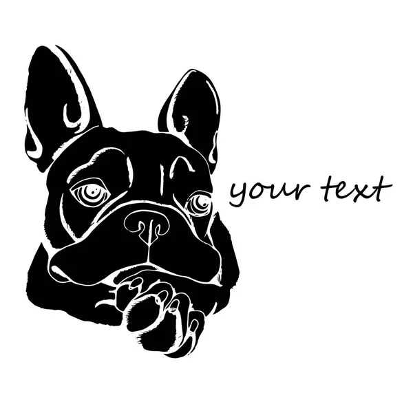 Bulldog, dog, animal, french, vector, illustration, pet, breed, cute, drawing, puppy — Stock Vector