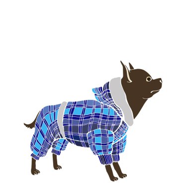 vektör köpek komik küçük mavi elbise