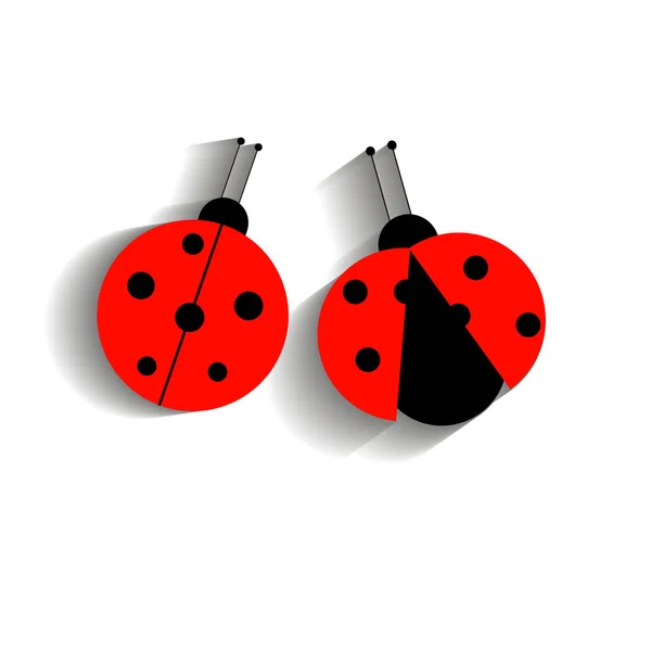 Coccinella vettore rosso illustrazione colorato coleottero — Vettoriale Stock