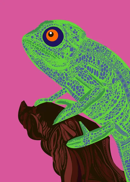 Camaleão lagarto desenho cor gráficos detalhes — Vetor de Stock