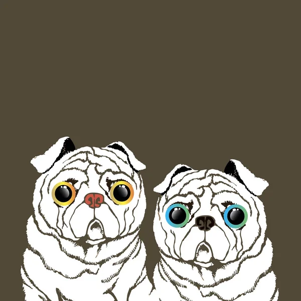 Pug perro vector crianza ilustración pura raza — Archivo Imágenes Vectoriales