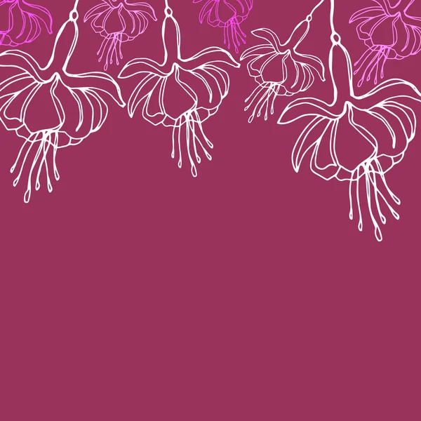 ベクトル グラフィック イラスト ピンクのフクシアの花 — ストックベクタ
