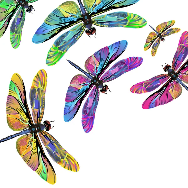 Vector kleur kunst dragonfly natuur wildlife — Stockvector