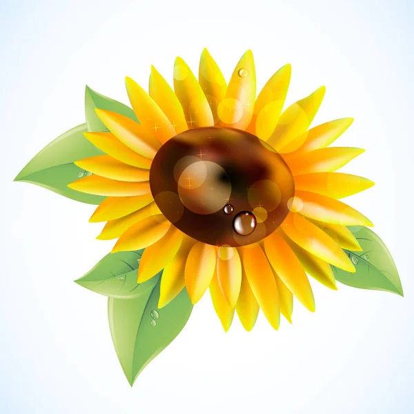 Flower vector yellow summer garden sunflower — Stock Vector