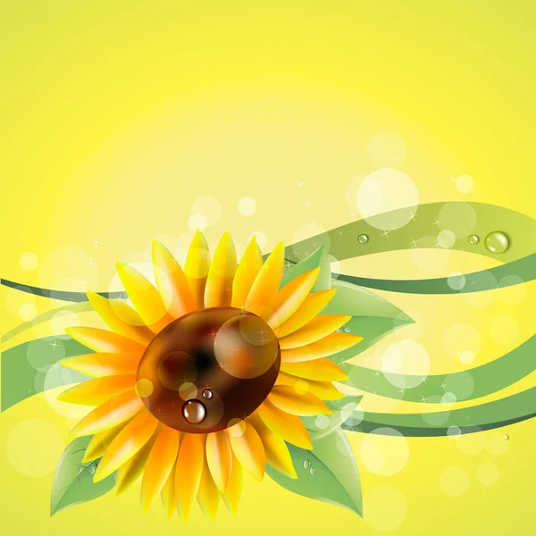 Fleur vecteur jaune été jardin tournesol — Image vectorielle