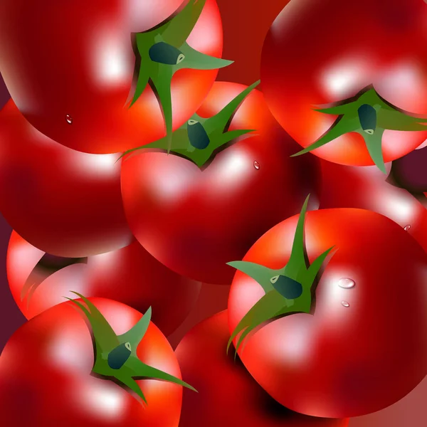 食品番茄素食红色蔬菜矢量 — 图库矢量图片